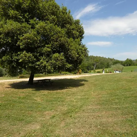 Scappo In Umbria, La Cantinetta