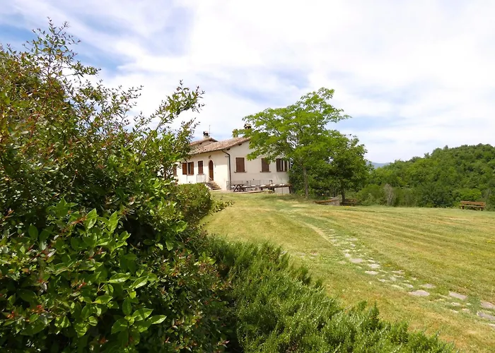 Scappo In Umbria, La Cantinetta Fiaiola