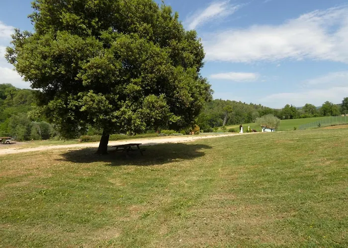 Scappo In Umbria, La Cantinetta